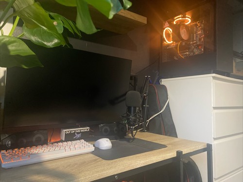Whole gaming setup for - whole,