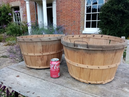 Wooden kent cob nuts packing - wooden,