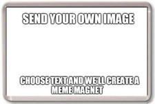 FRIDGE MAGNET - CUSTOM MEME -