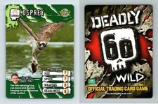 Osprey #75/161 Deadly 60 Wild