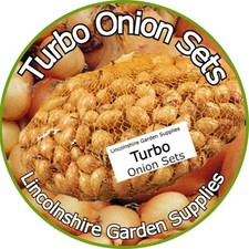 TURBO Spring Planting Onion