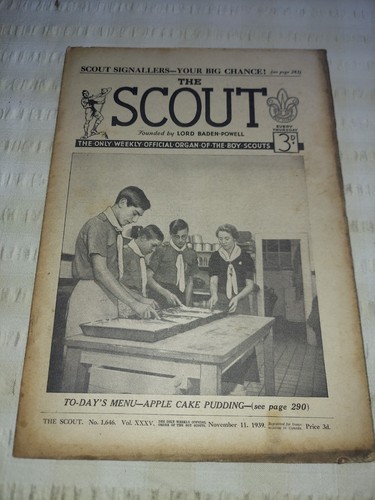Scouting the scout - uk,