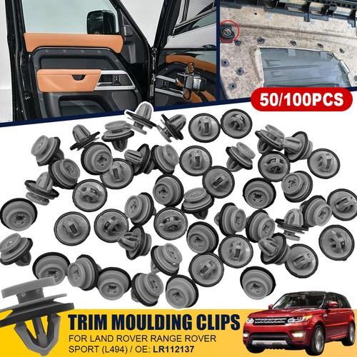 100x lower door moulding - 50/100x,
