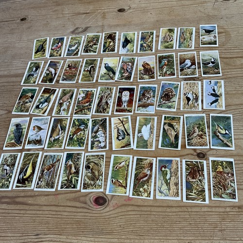 Full set john - full, 50
