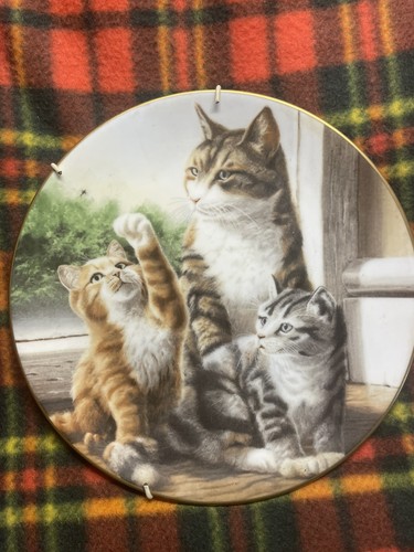 Coalport collector cat plate - collector's,