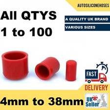 Silicone Blanking Plugs End