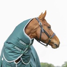 Shires Highlander Original