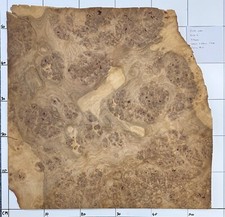 Oak Burr Veneer. 9 sheets