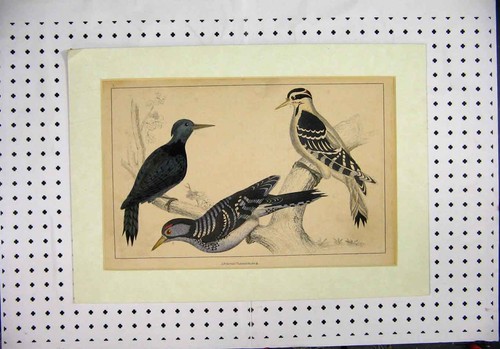 Original old antique - antique, print