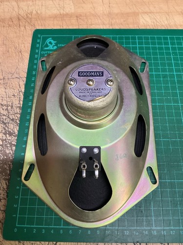 Selmar truevoice amp - amp,