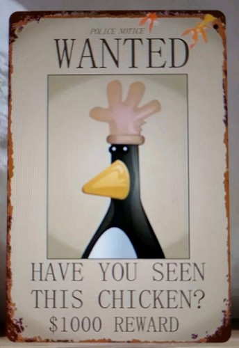 Wanted chicken novelty fun - chicken',