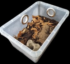 Invertebrate enclosure - invertebrate,