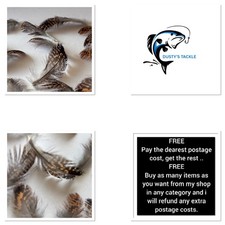 Grouse Feathers Neck & Back