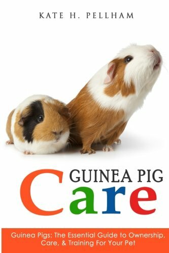 Guinea pigs the essential - guinea, pigs: