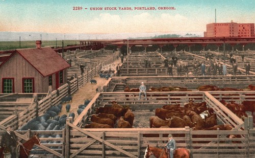 Vintage postcard union - postcard,