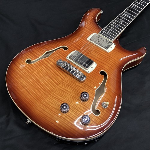 Paul reed smith - prs, se