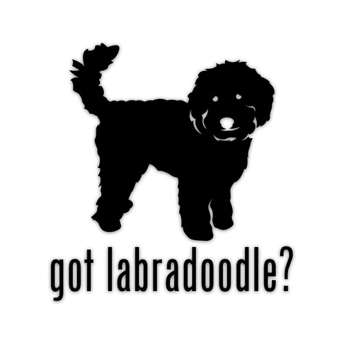 Got labradoodle vinyl - got,