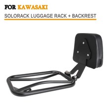 Passenger Sissy Bar Luggage