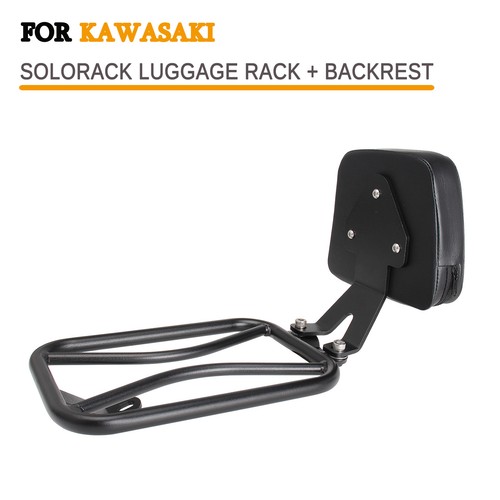 Passenger sissy bar - passenger, luggage