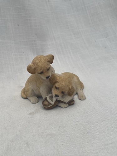 Labrador puppies playing with - puppies,