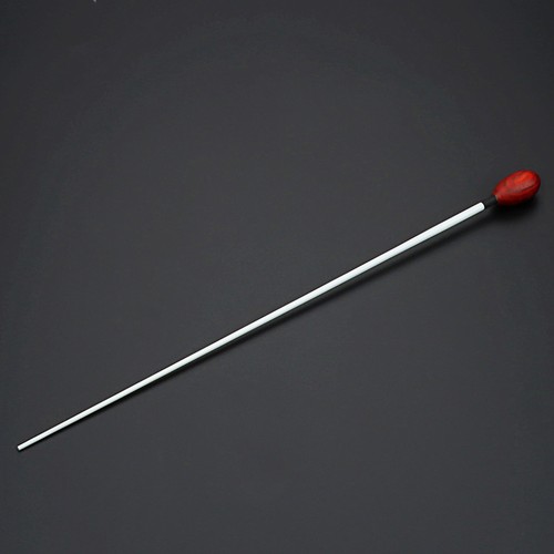 Orchestra conducting baton - orchestra,