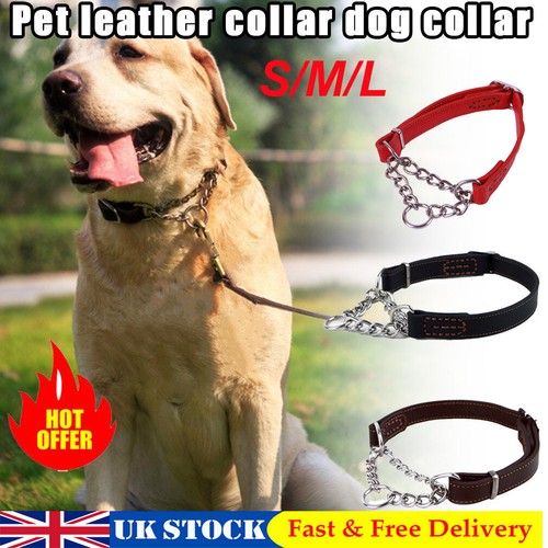 Adjustable pet dogs - pet,