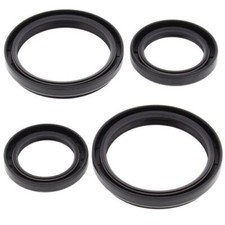 Diff Seal Kit Rear For Arctic