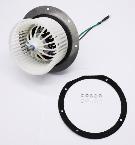 Rdx big power fanny - rdx,