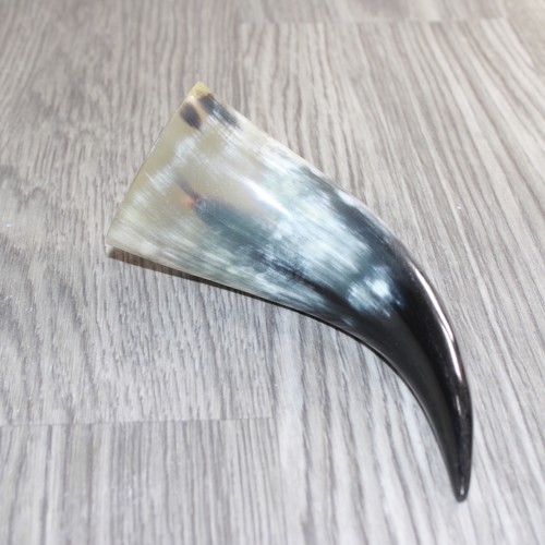 Small polished cow horn 466 - 1,