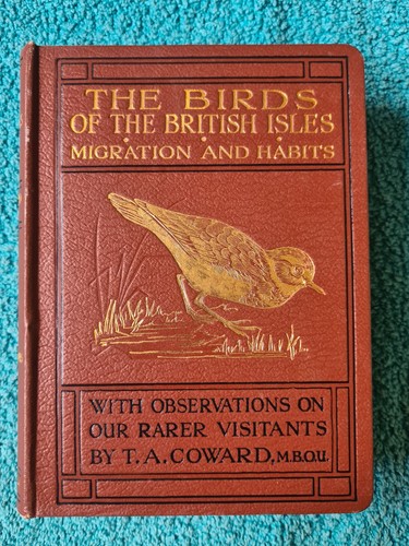 Wayside woodland birds of - wayside,