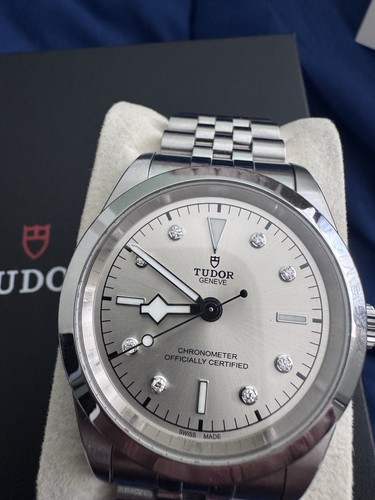 Tudor black bay - bay, champagne