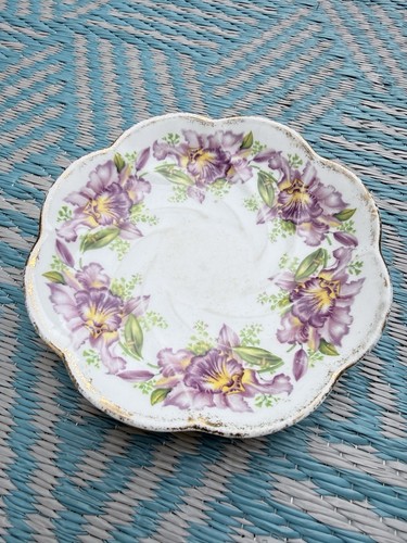 Vintage salisbury bone - salisbury,
