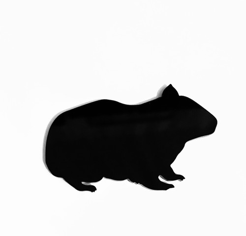 Guinea pig brooch - pig, badge