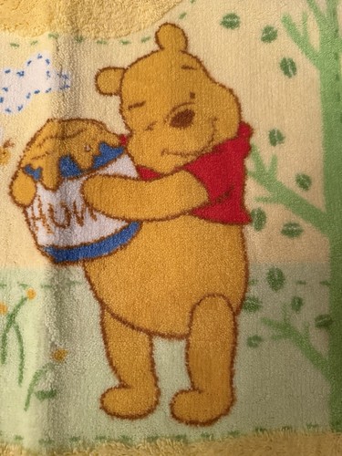 Disney winnie the pooh toilet - the,