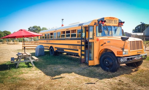 American school bus glamping - bus,