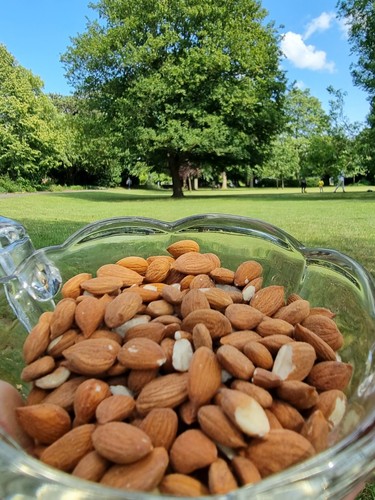 Organic 100 natural raw whole - 100%,