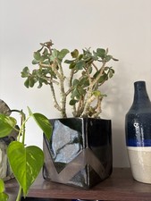 Indoor cuboid hand-built ceramic planter Gloss on Matte Black collection from E1