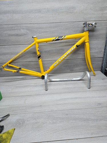 Schwinn fastback road bike - fastback,