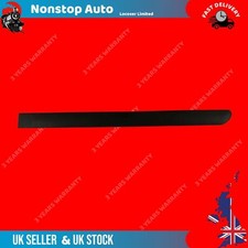 REAR DOOR MOULDING PANEL TRIM