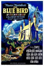 70925 The Blue Bird hirley