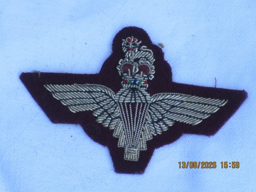 Parachute regiment officer - regiment,