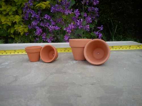 Terracotta flower plant clay - flower,