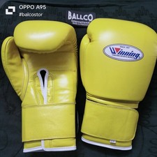 Premium Boxing Gloves –