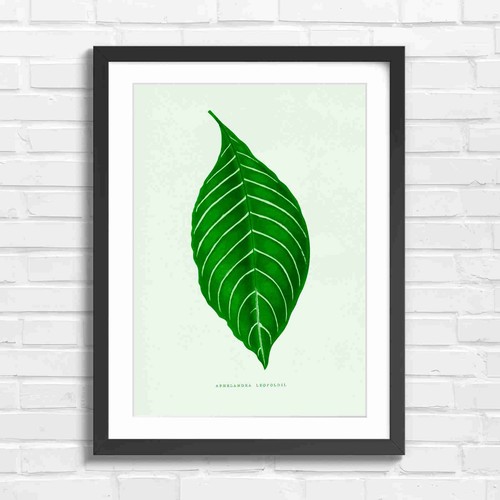 Vintage botanical leaf - botanical,