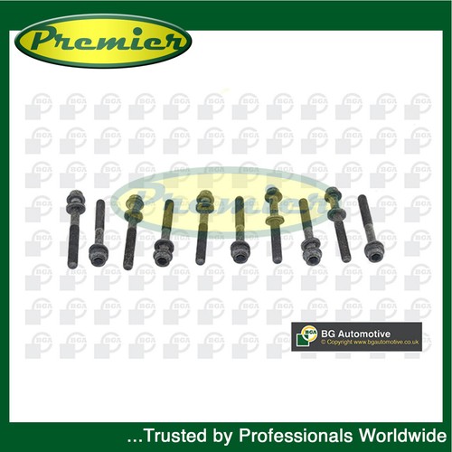 Premier cylinder head - bolt, set