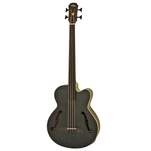 Electro acoustic medium scale - acoustic,