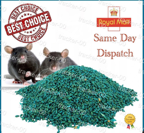 Rodent poison bait - poison, killer