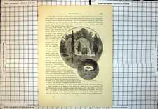 Original Old Antique Print