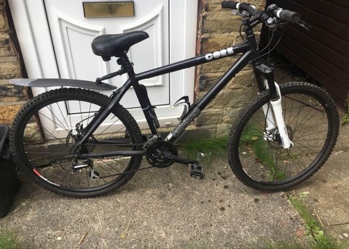 Mountain bike - mountain,