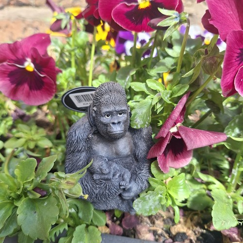 Vivid arts gorilla mother - vivid,